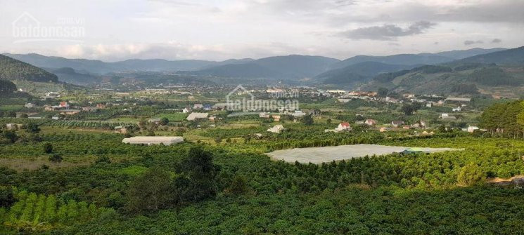 6000m2 đất Mê Linh, Có 78m Mặt Tiền đường, Giá: 25 Tỷ, Cách Tp đà Lạt 24km, Thích Hợp Nghỉ Dưỡng 6