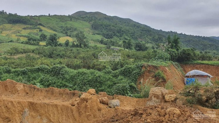 7000m Thổ Cư Bám Hồ Lớn Tại Cao Phong Giá Chỉ 300ngàn/m Tìm Chủ Mới 5