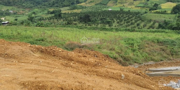 7000m Thổ Cư Bám Hồ Lớn Tại Cao Phong Giá Chỉ 300ngàn/m Tìm Chủ Mới 7