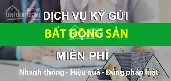 Bán 2500m2 Mt Hồ Văn Long Tân Tạo Bình Tân 1