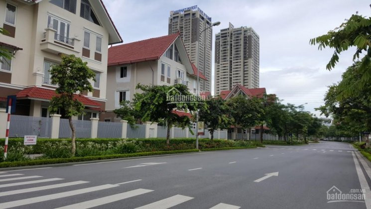 Bán Bt Nam Cường Dương Nội Chính Chủ, Dt: 170m2 1