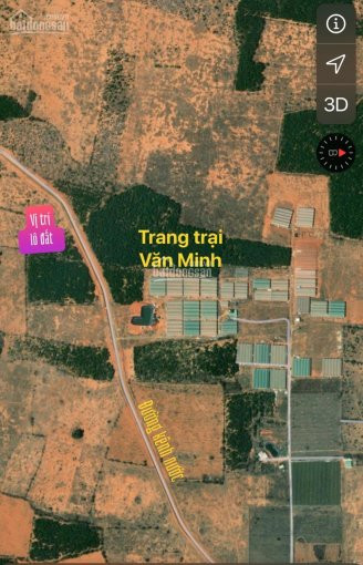 Bán đất Trang Trại Hòa Thắng 4ha, điện Nước đầy đủ, ô Tô Vào Tận đất Lh: 0777577383 3