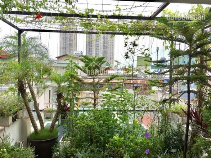 Bán Nhà Phố Yên Lãng Siêu đẹp - Hai Mặt Ngõ - 10m ôtô Tránh Tiện ích đỉnh Dt 50m2,giá 55 Tỷ 3