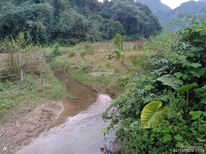 Cần Bán Lô đất3000m Lưng Tựa Núi Chân đạp Thuỷ Giá Hơn Tỷ Tại đú Sáng Kim Bôi 1