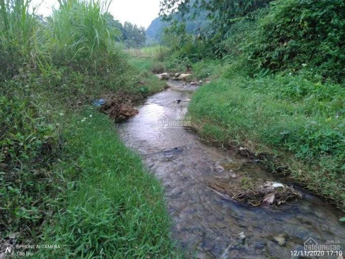 Cần Bán Lô đất3000m Lưng Tựa Núi Chân đạp Thuỷ Giá Hơn Tỷ Tại đú Sáng Kim Bôi 2