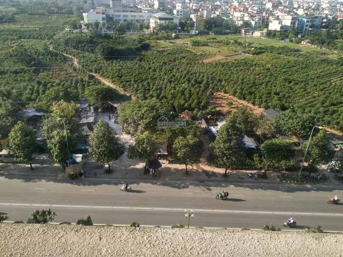 Cần Bán Sàn Thương Mại Tố Hữu- Hà đông - 14tr/1m2 4