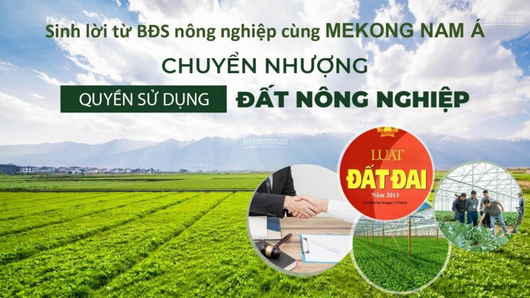 Chỉ 50 Nghìn/m2 Sở Hữu Ngay đất Có Sổ đón Hạ Tầng Giao Thông Tăng Giá, Liền Kề Sân Bay 0919508828 3