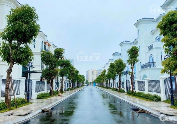 Chính Chủ Bán Biệt Thự Liền Kề Khu Ngọc Trai Vinhomes Ocean Park 4