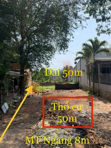 Chính Chủ Bán đất Mặt Tiền đường Mỹ Xuân- Ngãi Giao- Thị Xã Phú Mỹ -dt:8x50m, Giá 2,5 Tỷ 1