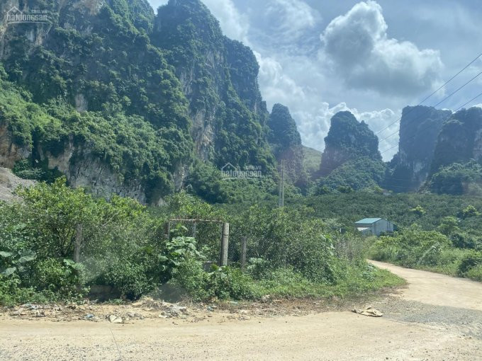 Chính Chủ Bán Nhanh 11000m2 Có 7000m2 Thổ Cư 2 Mặt đường Tại Cao Phong 1