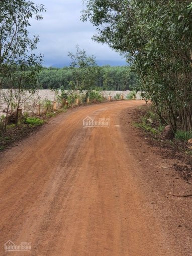 Chính Chủ Bán Nhanh 17ha đất, Cách Chợ Sơn Mỹ 34km, Gần Kcn Liên Hợp - Dịch Vụ Sơn Mỹ, Giá 140tr/sào Giá Rẻ 5