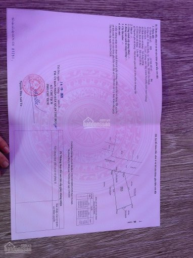 Chính Chủ Bán Nhanh 2 Lô Liền Kề Hẻm 80 Ngô Chí Quốc 62m2 Giá 2550 1