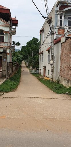 Chính Chủ Bán Nhanh 300 M2 đất Thổ Cư 100% - Phường Kim Sơn, Sơn Tây 1