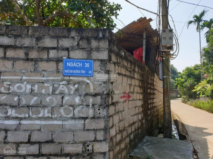 Chính Chủ Bán Nhanh 300 M2 đất Thổ Cư 100% - Phường Kim Sơn, Sơn Tây 4