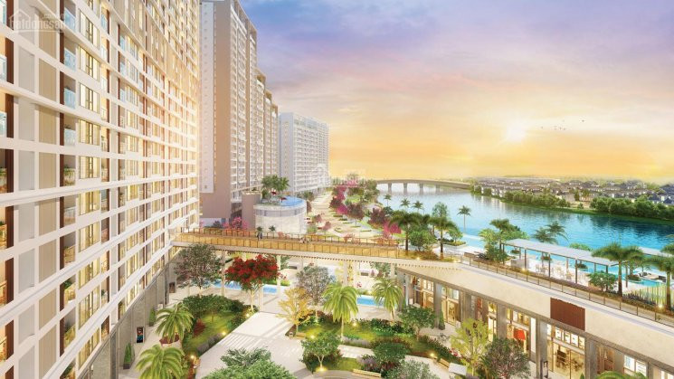 Chính Chủ Bán Nhanh Căn Hộ Midtown View Sông, Giá Gốc Cđt Thanh Toán 20% Nhận Nhà Gọi Ngay 0902 48 74 79 3