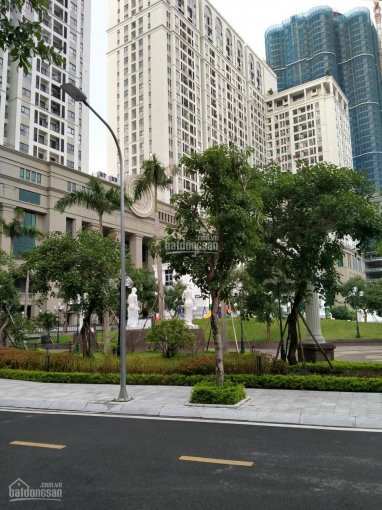 Chính Chủ Bán Nhanh Căn Lk View Vườn Hoa Nội Khu Tổ Hợp Thương Mại Roman Plaza - Tố Hữu - Hà đông 2