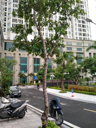 Chính Chủ Bán Nhanh Căn Lk View Vườn Hoa Nội Khu Tổ Hợp Thương Mại Roman Plaza - Tố Hữu - Hà đông 4