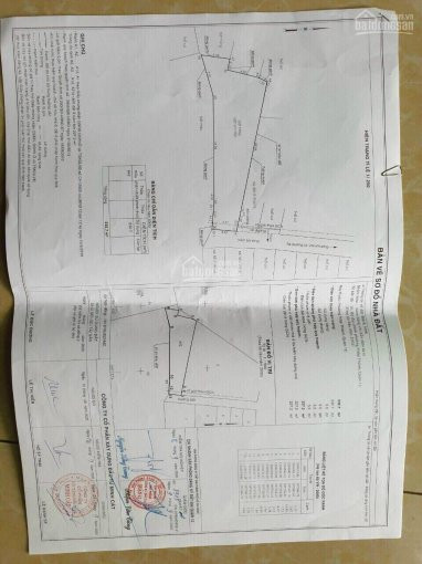 Chính Chủ Bán Nhanh đất 1/ đường Bò Tèo Hẻm 35m Thổ Cư 227m2 Giá 55 Tỷ Bớt Lộc Gọi 0901292979 Thái 1