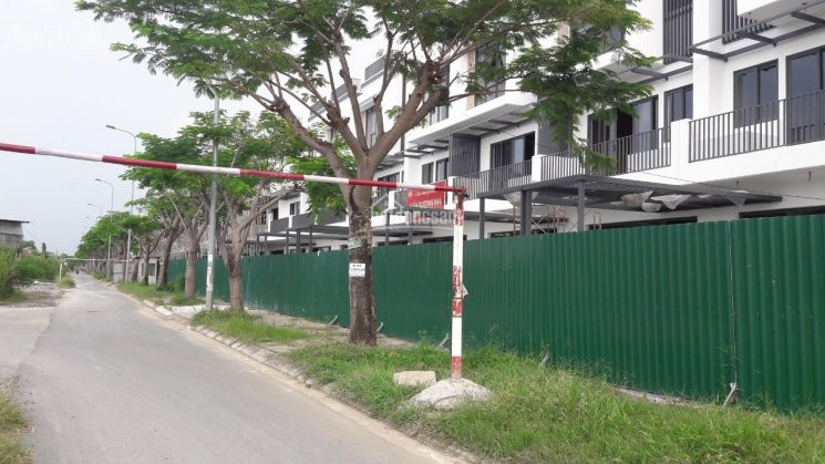 Chính Chủ Bán Nhanh đất đường 8, Lò Lu, 50m2, Liền Kề Khu đông Tăng Long Quận 9 đã Có Sổ Hồng Riêng 3