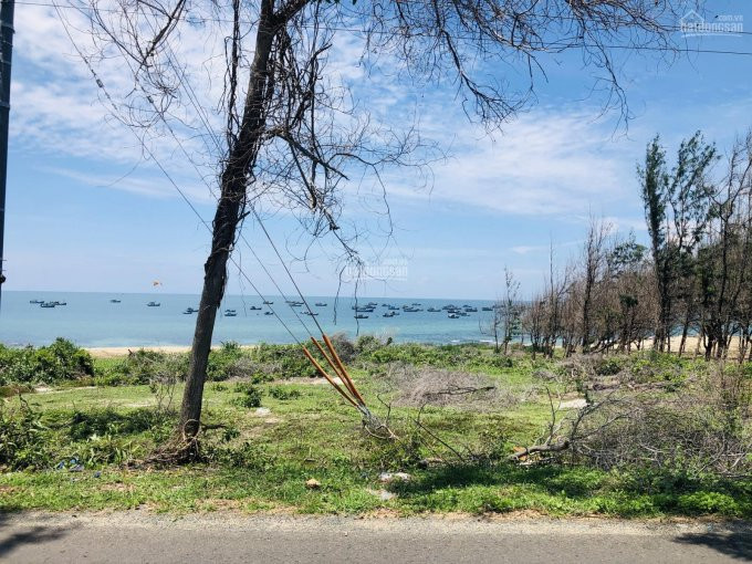 Chính Chủ Bán Nhanh đất Kê Gà - Gần Thanh Long Bay 1