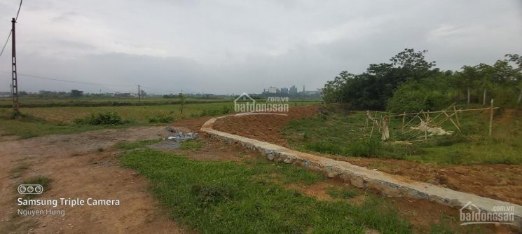 Chính Chủ Bán Nhanh đất Lương Sơn, Hòa Bình, Dt 5000m2 View Cánh đồng 2