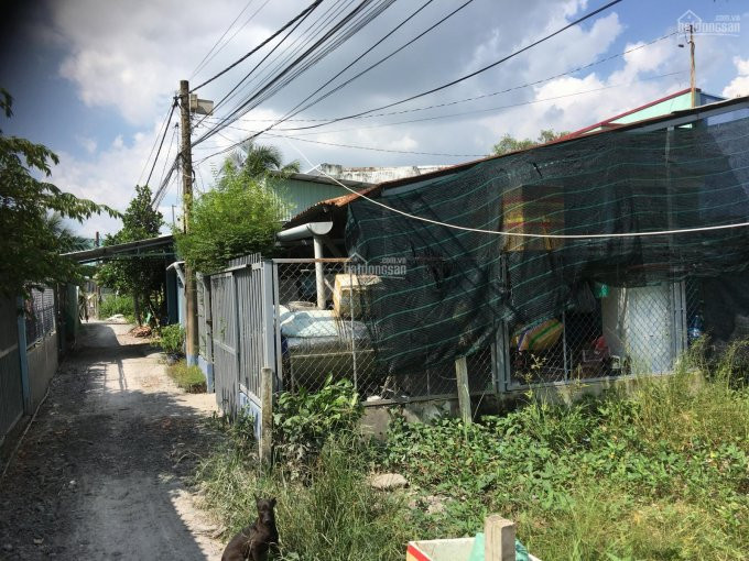 Chính Chủ Bán Nhanh đất Thổ Cư Gần Chợ Phú Lạc Bình Chánh 1