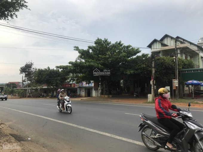 Chính Chủ Bán Nhanh đất Thổ Cư Gần Trạm Tâm Châu 2 Mặt Tiền 8m, Quốc Lộ 20, Xã Lộc An, Bảo Lâm, Lâm đồng 2