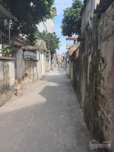 Chính Chủ Bán Nhanh đất Thuý Lĩnh  Vuông đẹp Gần ô Tô 40m Giá 11 Tỷ 3