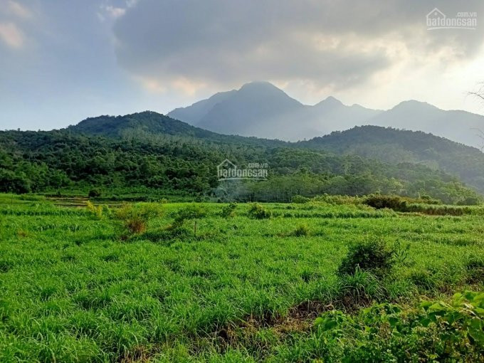 Chính Chủ Bán Nhanh đất Xã Bắc Sơn, Sóc Sơn, 2000m2 - 25ha, View Hồ, Nhà Vườn, Sinh Thái, đường ô Tô Giá Tốt! 2