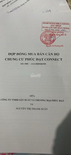 Chính Chủ Bán Nhanh Gấp Căn Hộ Chung Cư Phúc đạt Tầng 11 Diện Tích 44m2 2 Phòng Ngủ 3