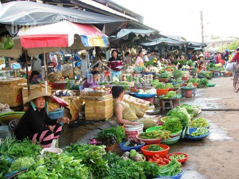 Chính Chủ Bán Nhanh Gấp đất Shr đường Phạm Văn Khoai Ngay Chợ Tân Hiệp, Tân Hiệp, Biên Hòa, 790tr/100m2, 0902760457 5