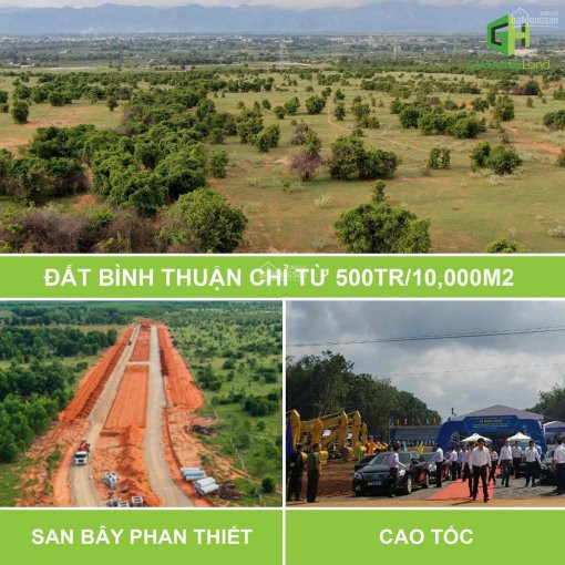 Chính Chủ Bán Nhanh Gấp Lô đất Vườn Canh Tác Nông Nghiệp ở Thị Trấn Chợ Lầu Gí 65,000đ/m2 5