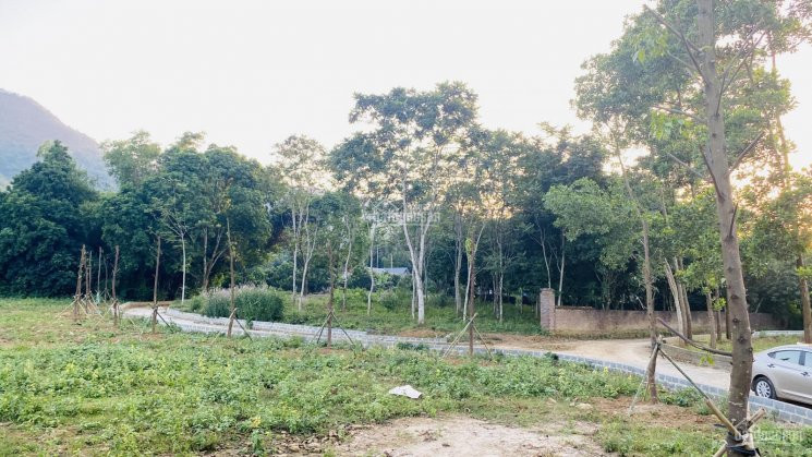 Chính Chủ Bán Nhanh Lô đất 2100m2 Siêu đẹp, đường Chạy Vòng Quanh đất 6