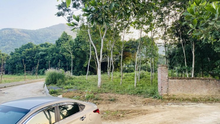 Chính Chủ Bán Nhanh Lô đất 2100m2 Siêu đẹp, đường Chạy Vòng Quanh đất 7