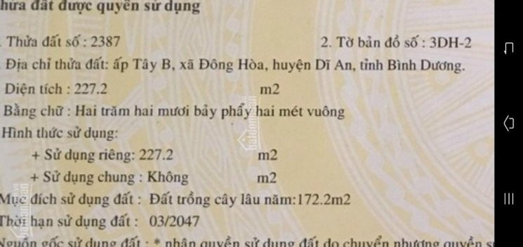 Chính Chủ Bán Nhanh Lô đất Tại đường Cây Da Xề, Trần Hưng đạo, ấp Tây B, Xã đông Hòa, Huyện Dĩ An, Bình Dương 3