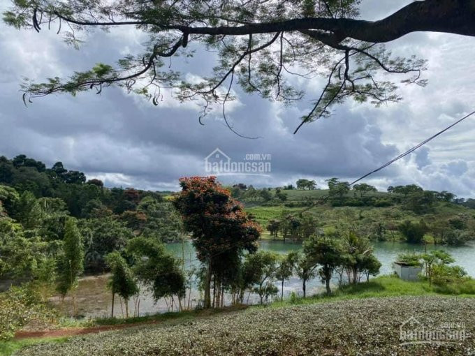 Chính Chủ Bán Nhanh Miếng đất Sát Ql 20 View đồi, Phù Hợp Xây Homestay, Bungalow Nghỉ Dưỡng 2