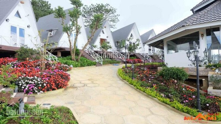 Chính Chủ Bán Nhanh Miếng đất Sát Ql 20 View đồi, Phù Hợp Xây Homestay, Bungalow Nghỉ Dưỡng 4