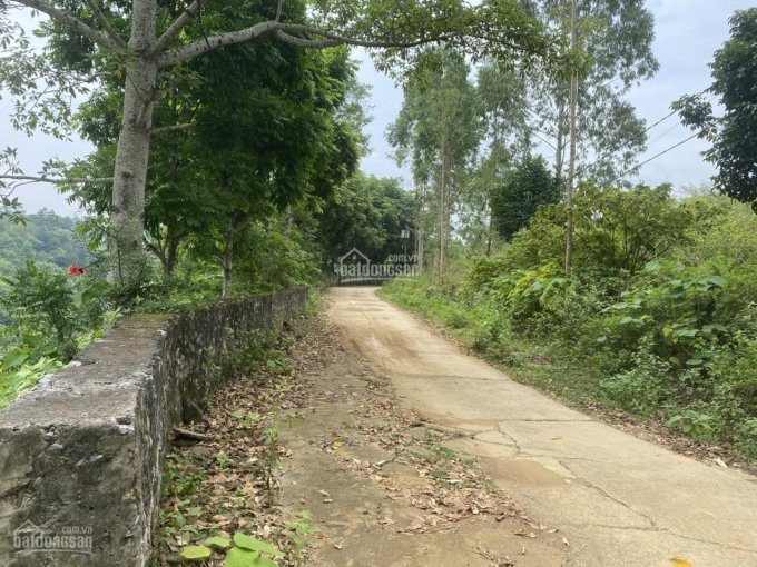 Chính Chủ Bán Nhanh Ngay 1596m2 Sát Thác Thăng Thiên, Dân Hòa, Kỳ Sơn, View Tuyệt đẹp, Phẳng Lỳ 7