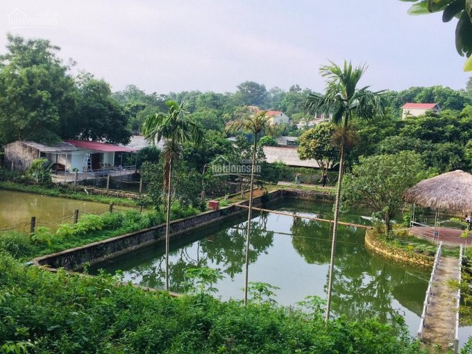 Chính Chủ Bán Nhanh Ngay Khuôn Viên Hoàn Thiện 5800m2 Liên Sơn, Lương Sơn Tuyệt đẹp Giá Rẻ 2