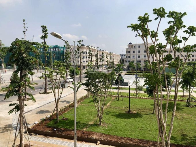 Chính Chủ Bán Nhanh Nhà Có Hầm Cityland, P 10, Vị Trí đẹp, Giá 138 Tỷ, Nh Cho Vay Khi Mua Nhà Lh: 0932020695 4