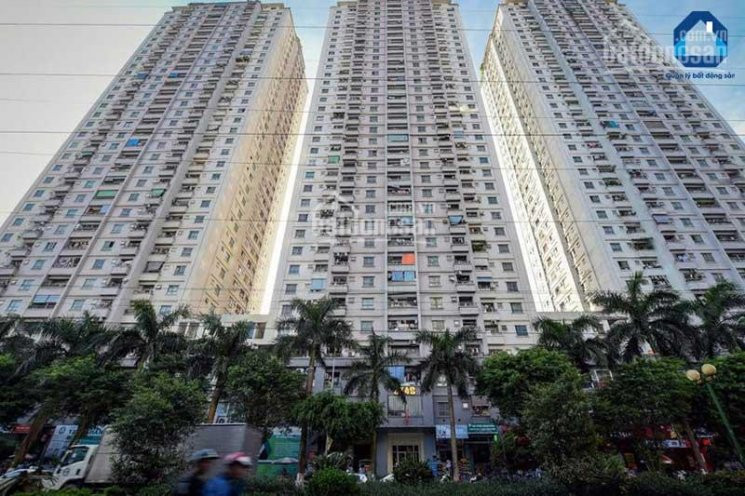 Chính Chủ Bán Nhanh Nhà Lô Góc 100m2, Doanh Thu 100tr/ Tháng, Hà đông, Giá 155 Tỷ, Lh 0981263018 2