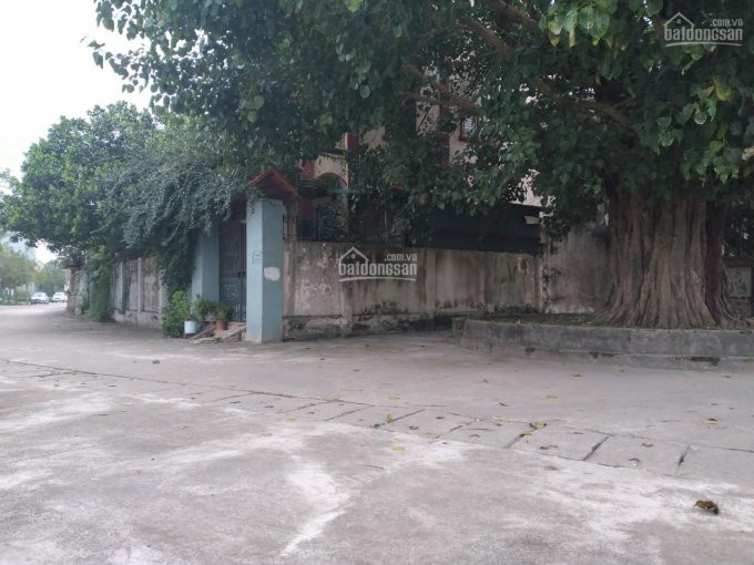 Chính Chủ Bán Nhanh Nhà Tứ Hiệp, Thanh Trì, 290m2 Kinh Doanh, ô Tô Vào Nhà, 2 Mặt Tiền, Phong Thủy đẹp 4