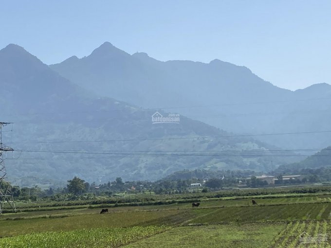 Chính Chủ Cần Bán 10 Sào đất View Sông đà đất Thoải, Có Ai, Các Cây ăn Quả, Minh Quang, Ba Vì, Hn 1