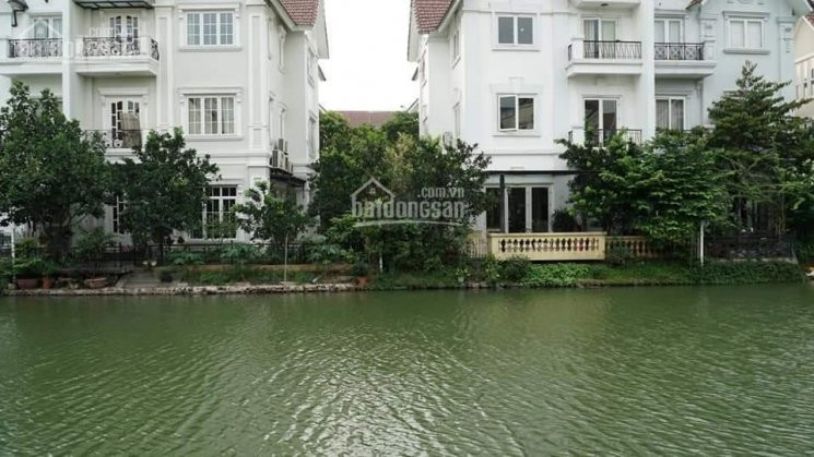 Chính Chủ Cần Bán Biệt Thự Vinhomes Riverside Hoa Bằng Lăng, Dt 569m2, Giá 90tr/m2, 0962678988 1