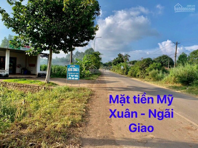 Chính Chủ Cần Bán Gấp 4 Sào 2 Mặt Tiền Mỹ Xuân Ngãi Giao Thích Hợp Phân Lô, Nhà Xưởng 1