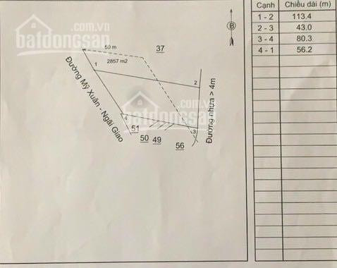 Chính Chủ Cần Bán Gấp 4 Sào 2 Mặt Tiền Mỹ Xuân Ngãi Giao Thích Hợp Phân Lô, Nhà Xưởng 4