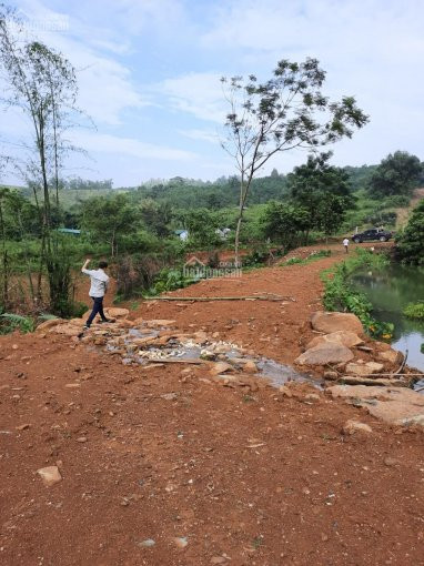 Chính Chủ Cần Bán Gấp 6600m đất View Hồ Cố đụng, đất Bia Hồng Hà Nội (miễn Trung Gian) 5