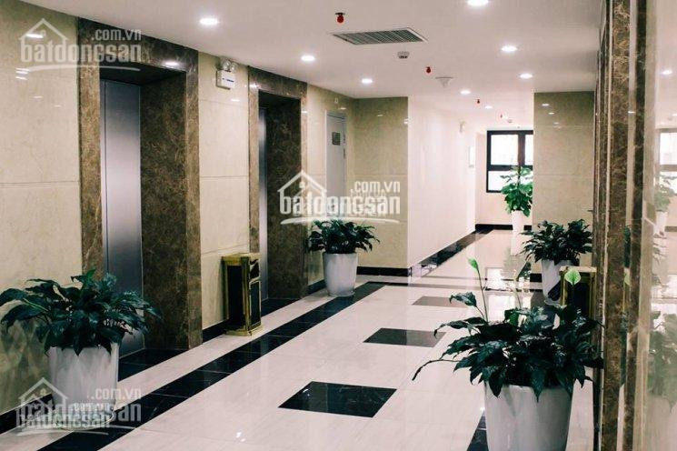 Chính Chủ Cần Bán Gấp Căn Hộ 827m2 Tầng 12 An Bình City Nhà Mới Tinh, Giá 295 Tỷ 2