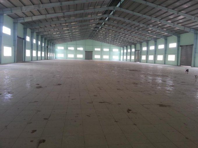 Chính Chủ Cần Bán Kho Xưởng Trong Kcn Tân Bình, Dt 3500m2 5000m2 7600m2 10000m2 Lh 0933781138 1