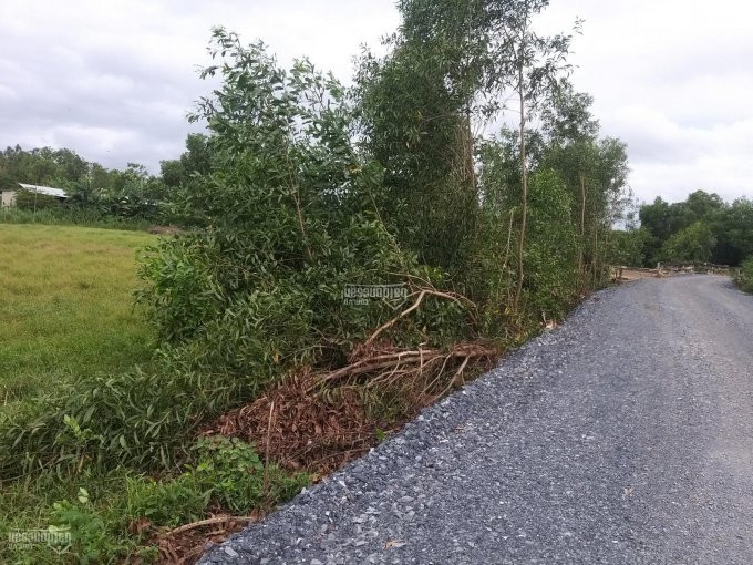 Chính Chủ Cần Bán Lô đất Lúa Một Sẹc đường Nguyễn Văn Bứa Thuộc đường Bờ Kênh Nguyễn Văn Cừ 1